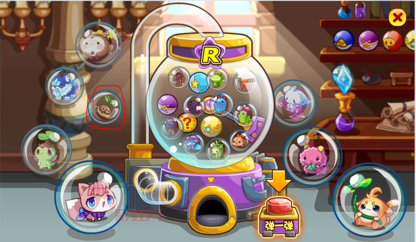 洛克王国果冻出现时间是几点？快速获取果冻的技巧！