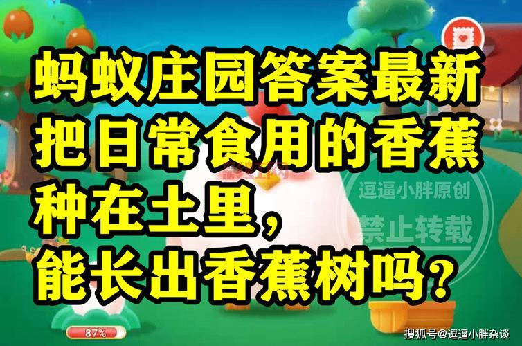 蚂蚁庄园8月5日最新答案，你答对了吗？