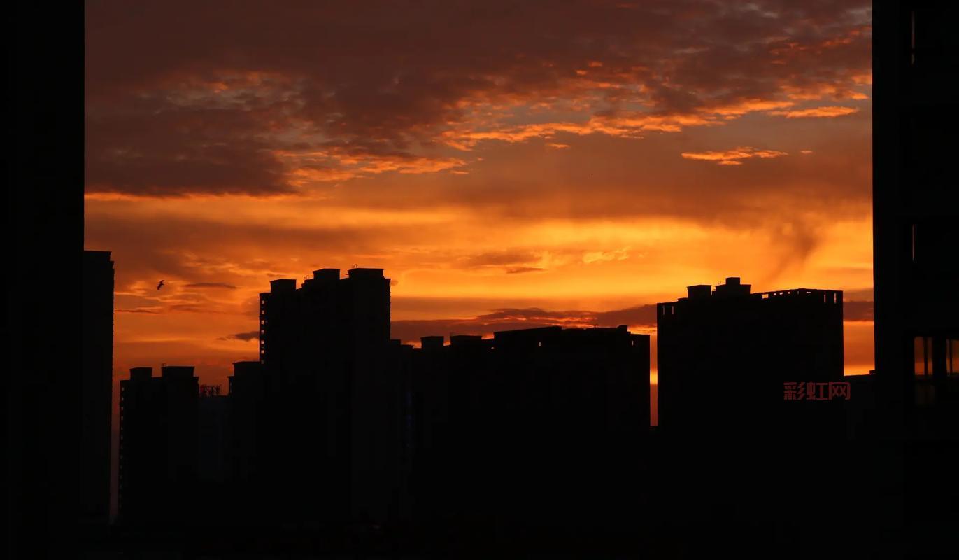 火星日出日落大揭秘：美国“洞察”号最新照片曝光