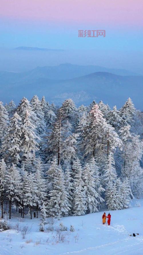 白驼山剧本挑战副本开启,组队刷本走起!