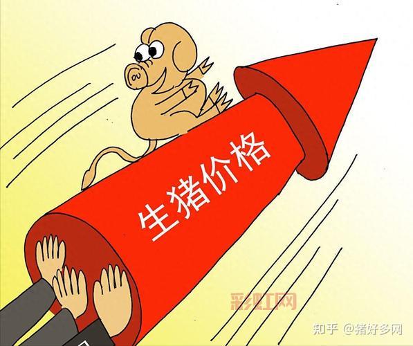 “火箭猪”行情持续攀升，猪肉价格还会涨多久？