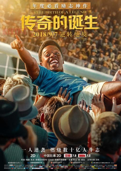 光头佬的电影传奇：喜剧与动作的完美结合