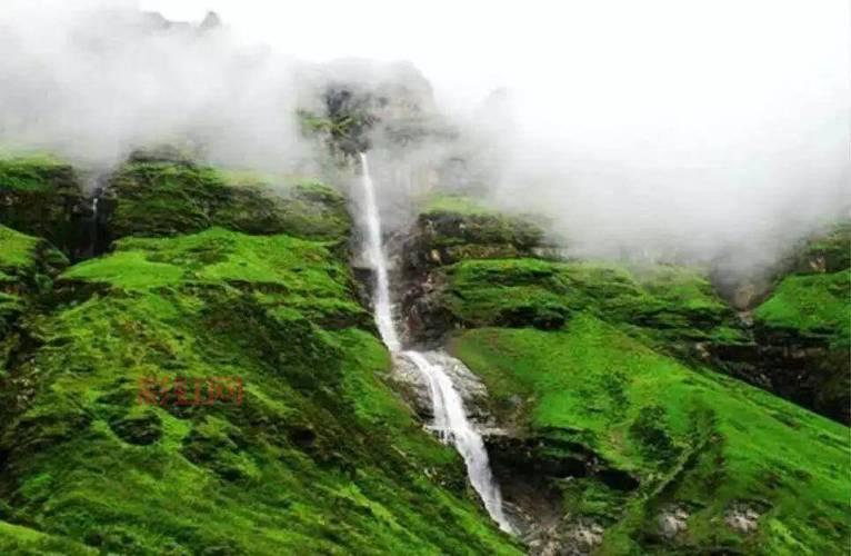 如龙全集在线观看：竹内凉真与贺来贤人的震撼演绎