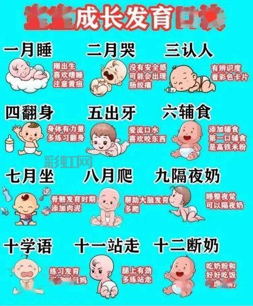 小发育全套图展示：婴儿每月发育变化及养育贴士