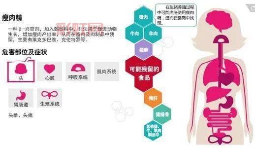 什么是瘦肉精？了解其成分、作用及安全性