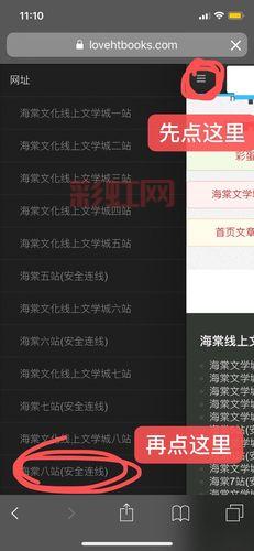 海棠文学城下载app后怎么注册？详细步骤分享！