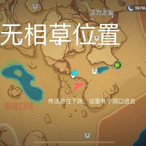 无相之草boss位置指南：如何快速找到无相之草