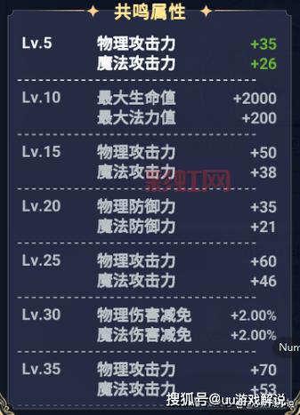 Risen 攻略大全：提升等级与装备的终极指南