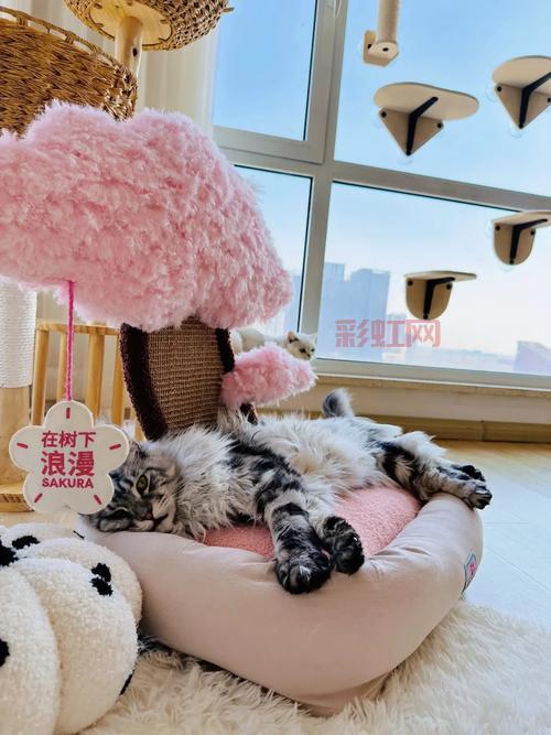 探讨：玩提莫都是死妈的，这句话为何引起如此争议？