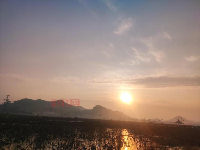 求战地3下载中文破解版链接，教你避开各种坑！