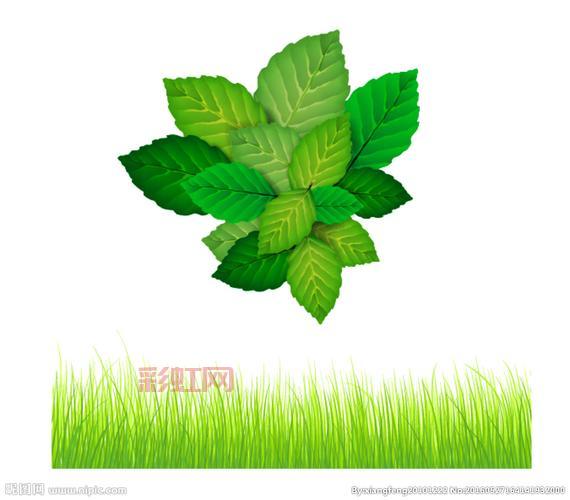 梦幻叶子：赋予生活灵感的绿色艺术