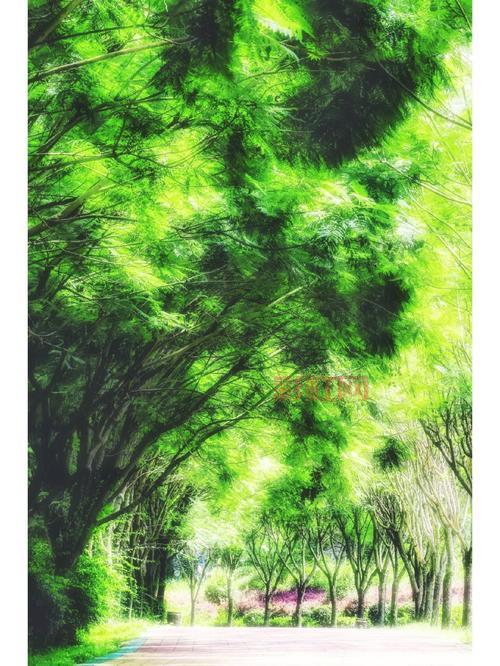 梦幻叶子:赋予生活灵感的绿色艺术