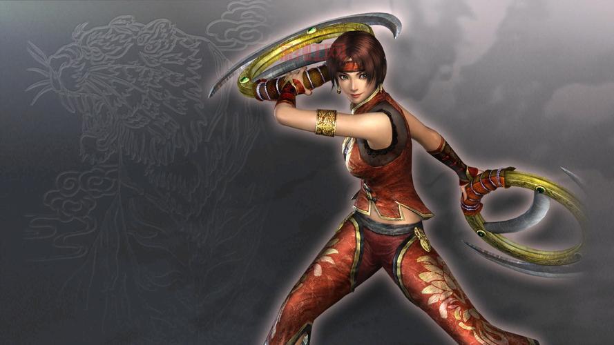 无双大蛇Z素材资源分享：高清图片与视频下载