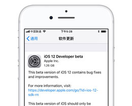 iPhone 中的描述文件是什么，有哪些用处？