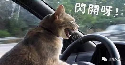 汽车上哪些功能很难发现,却很实用!