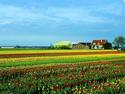 哪个删除文件恢复好用|电脑文件恢复软件哪个好用