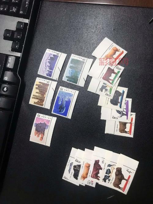 万象伴侣是什么？新手小白快速入门攻略！