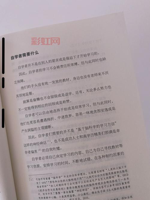 传奇4单机攻略常见问题汇总,大神为你解答所有疑惑!
