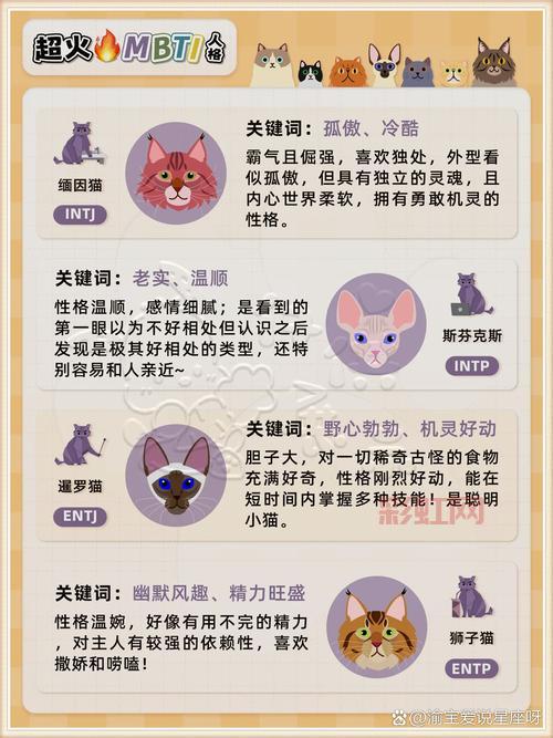 传奇4单机攻略常见问题汇总,大神为你解答所有疑惑!