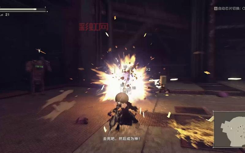 尼尔怎么抓的攻略，让你成为捕捉尼尔大师！