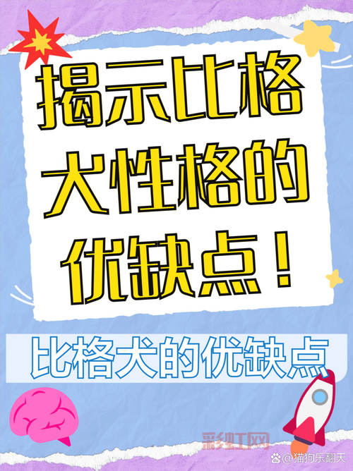 赢在龙头决策版靠谱吗？内行人为你揭秘优缺点！