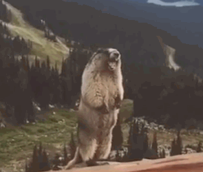 君子如兰不动手 简单设置让Cortana操作一切