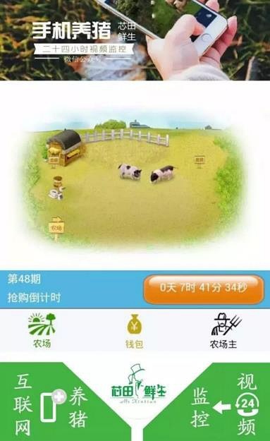 芯田鲜生郭凯：养猪也能“互联网+”，打造现实版开心农场