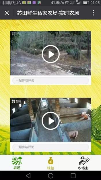 芯田鲜生郭凯：养猪也能“互联网+”，打造现实版开心农场