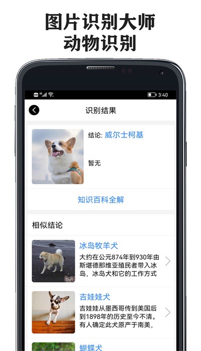 图片识别大师免费版 v2.1 安卓版