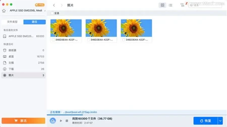 电脑的数据恢复软件哪个好用？这7款，靠谱！ - 哔哩哔哩