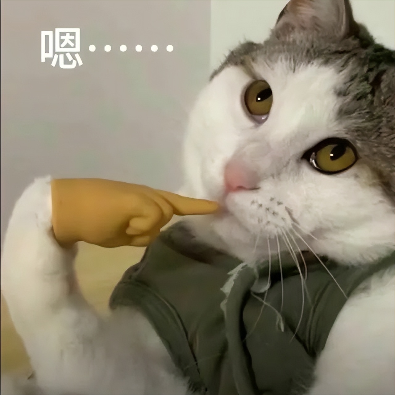 文件恢复率100%的终极方案竟藏在这个免费软件里