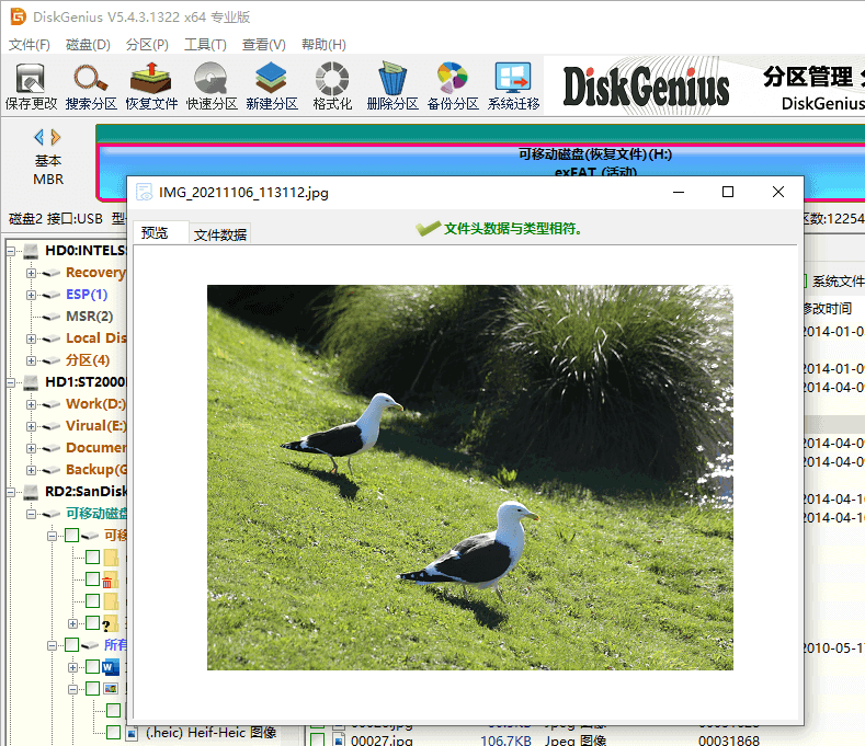 相机照片恢复软件哪个好?照片恢复软件推荐