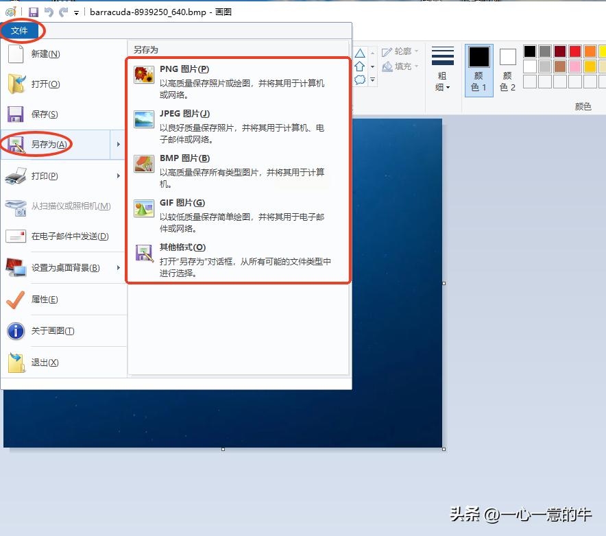 bmp怎么转jpg？7种实用方案详解，轻松学会bmp怎么转jpg
