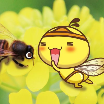 我想问一下文件扫描是什么意思