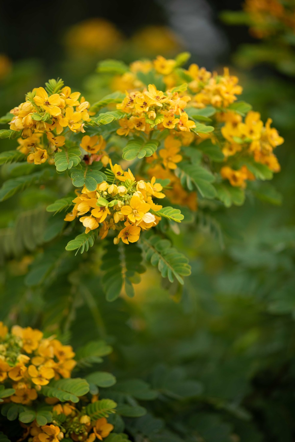 三、更多如此强大却非常简单容易上手的功能，5分钟我认为应该足够学会了吧，你GET了吗？