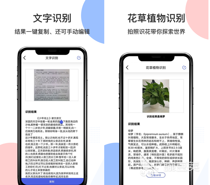 扫植物识别软件哪个好 识别植物名称的软件排行榜