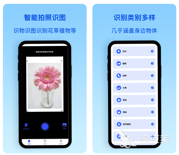 扫植物识别软件哪个好 识别植物名称的软件排行榜