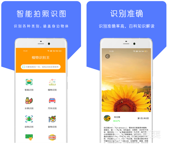 扫植物识别软件哪个好 识别植物名称的软件排行榜