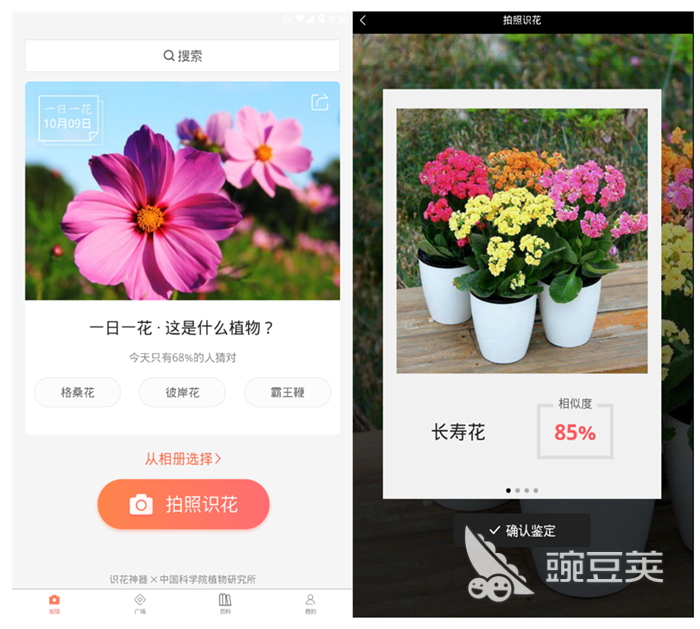 扫植物识别软件哪个好 识别植物名称的软件排行榜