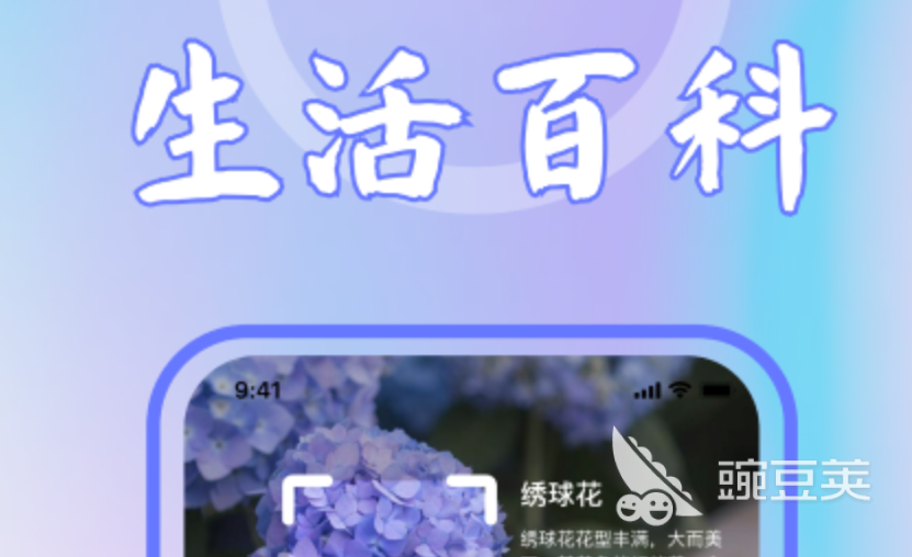 识别植物的软件合集 热门植物识别app排行榜