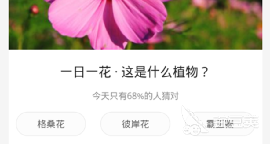 识别植物的软件合集 热门植物识别app排行榜