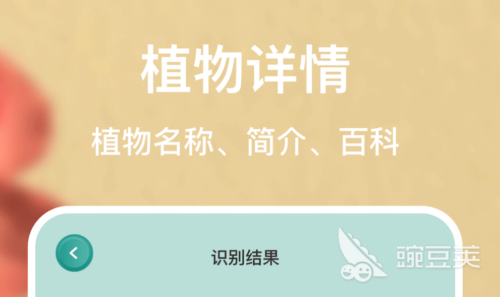 识别植物的软件合集 热门植物识别app排行榜