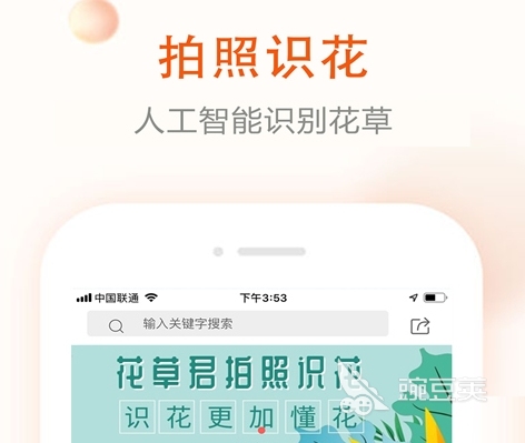 识别植物最准确的软件有哪些 热门的植物识别APP合集
