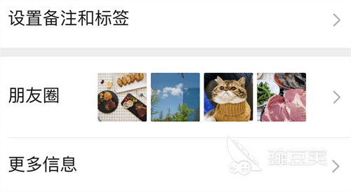 识别植物最准确的软件有哪些 热门的植物识别APP合集