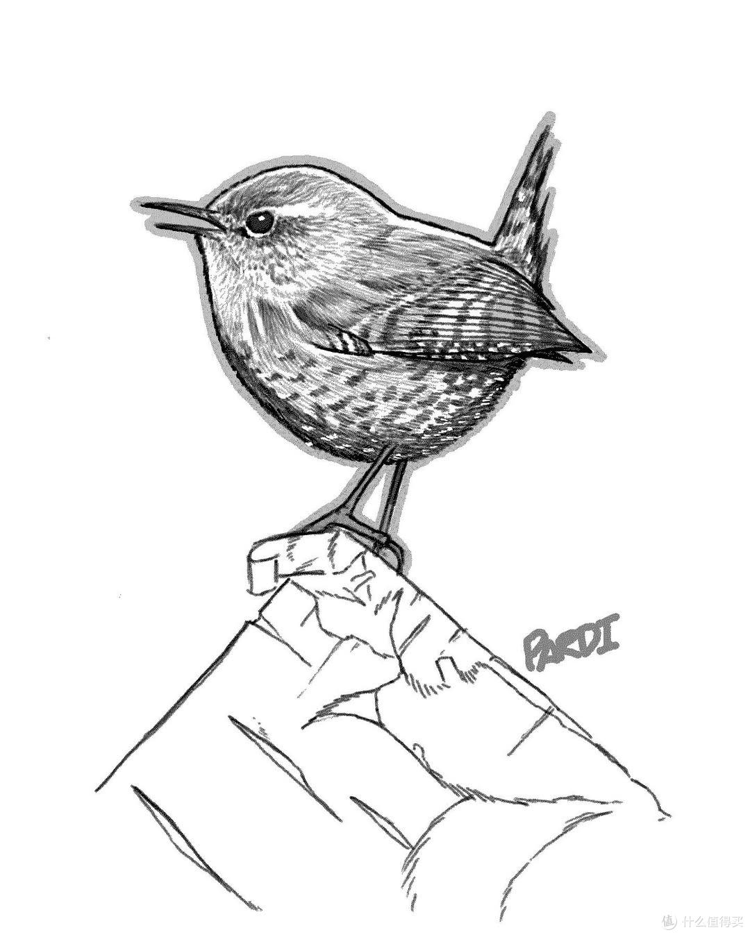 纯干货，墨水屏阅读器怎么选？一篇说清，看完不迷路！无广告