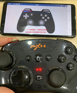 小鸡模拟器2025最新版 v1.9.1安卓版