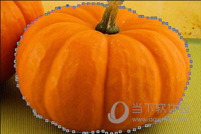 PhotoShop7绿色中文版