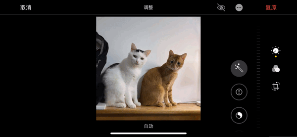 还没上学或复工？不如一起探索如何用iOS 13和无聊时光斗智斗勇