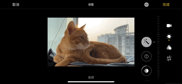 还没上学或复工？不如一起探索如何用iOS 13和无聊时光斗智斗勇