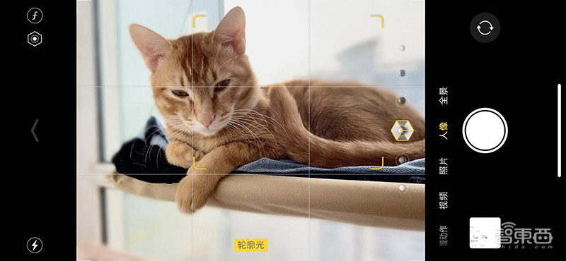 还没上学或复工？不如一起探索如何用iOS 13和无聊时光斗智斗勇